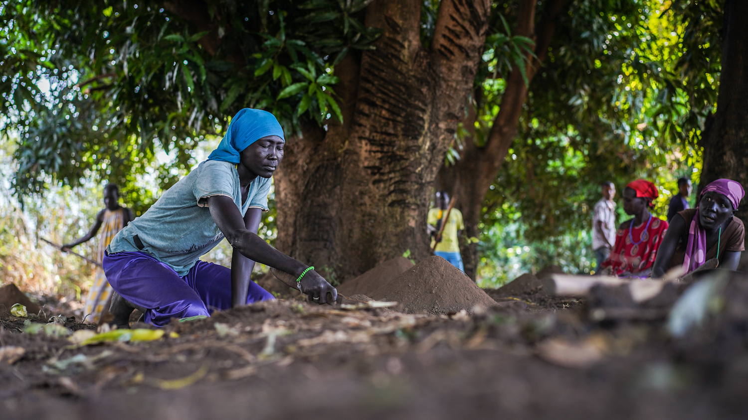 A woman planting trees for the cause Trees for Gambella; Angege